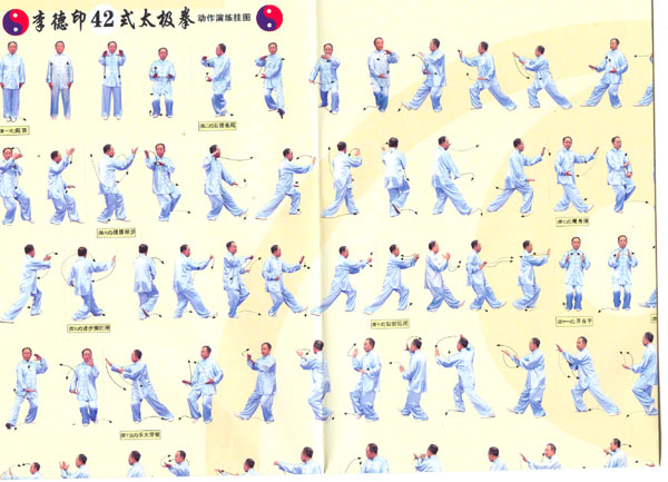 2VCD DVD+ Free Chart 42 Tai Chi Course by Li Deyin New | eBay