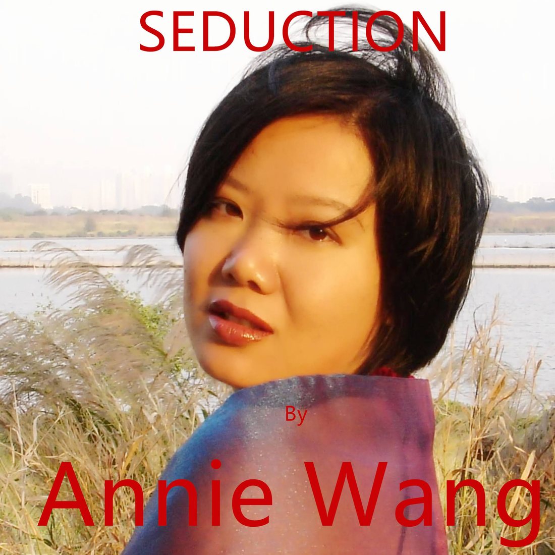 Seduction cover